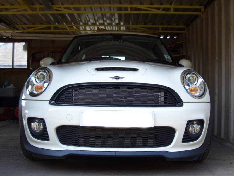 07-04-28_02 - Pepper White R56 MINI at Home.JPG